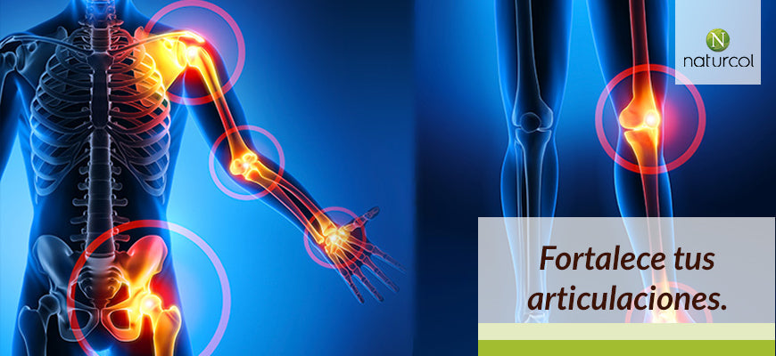 Fortalecer nuestras articulaciones